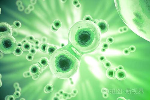 绿色单元格背景生活与生物学医学科学分子生物学研究dna3d渲染