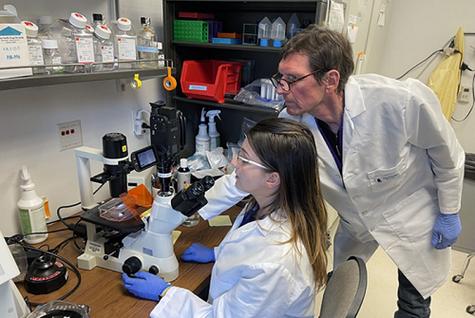 科学家在威斯康辛大学干细胞和再生医学研究所研究心脏干细胞.